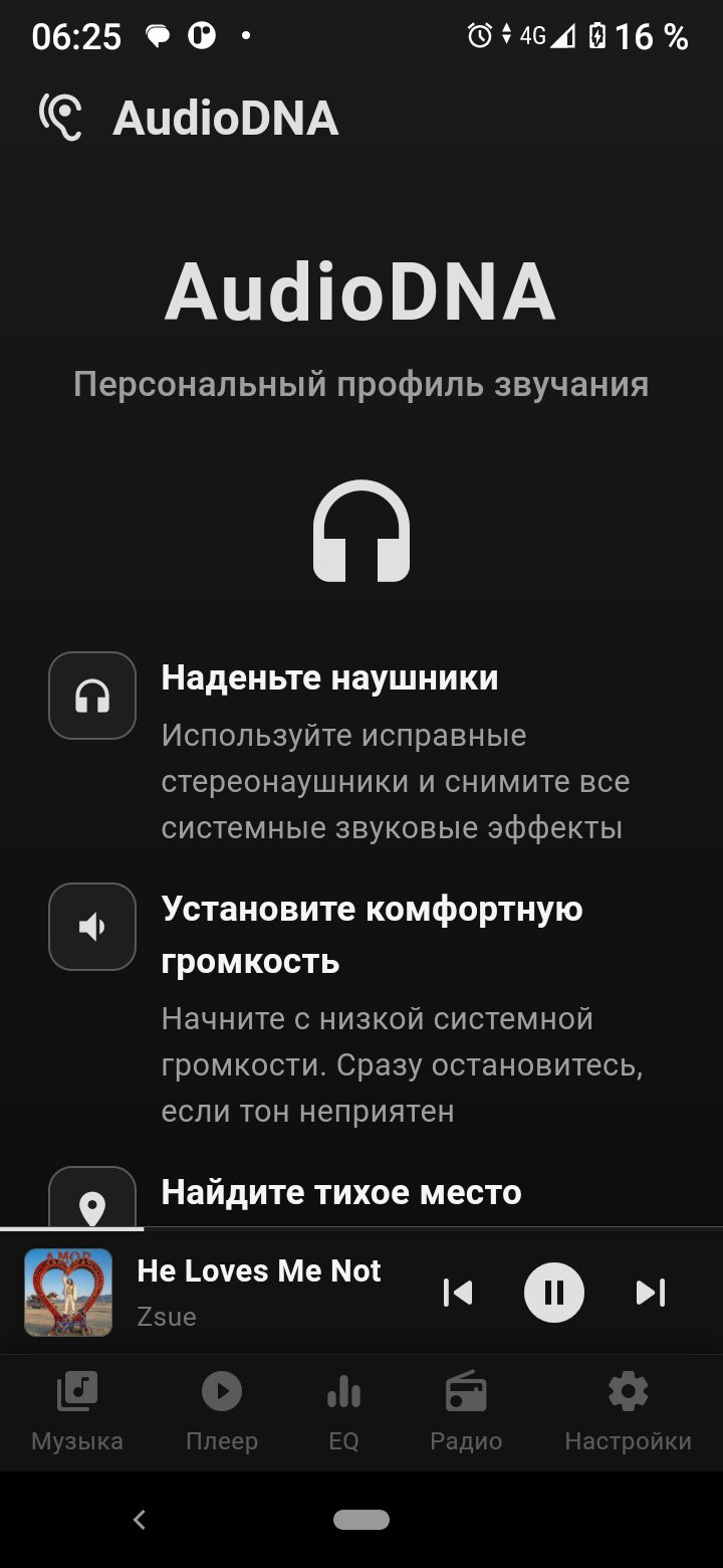 Экран настройки AudioDNA в Shikardos Audio